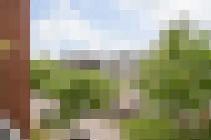 Sterreschans 561 Oegstgeest thumbnail 13