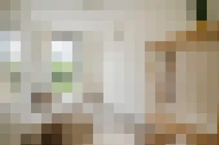Sterreschans 561 Oegstgeest thumbnail 28