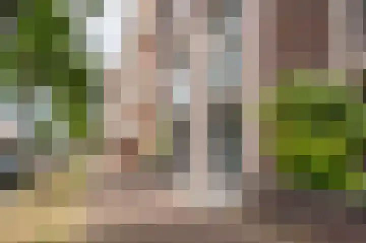 Sterreschans 561 Oegstgeest thumbnail 38