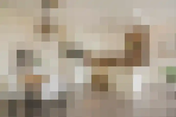 Sterreschans 561 Oegstgeest thumbnail 4