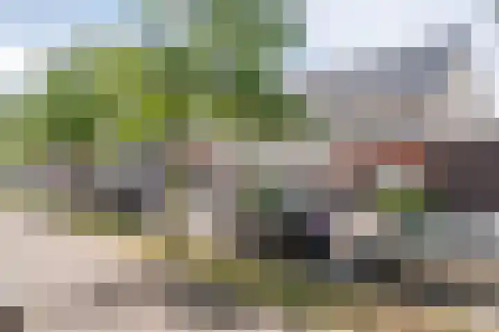 Sterreschans 561 Oegstgeest thumbnail 47