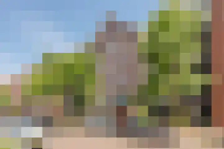 Sterreschans 561 Oegstgeest thumbnail 48