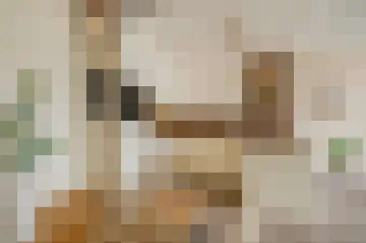 Sterreschans 561 Oegstgeest thumbnail 5