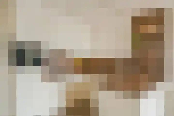 Sterreschans 561 Oegstgeest thumbnail 6