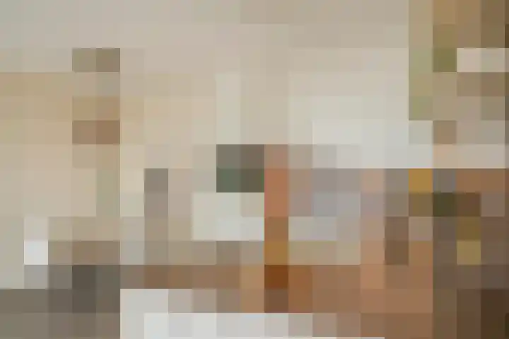 Sterreschans 561 Oegstgeest thumbnail 7