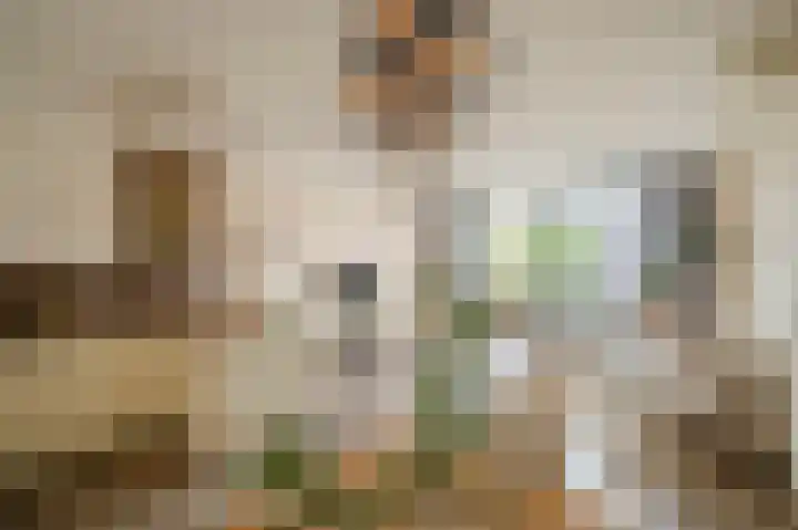 Sterreschans 561 Oegstgeest thumbnail 8