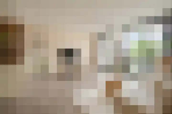 Sterreschans 561 Oegstgeest thumbnail 9