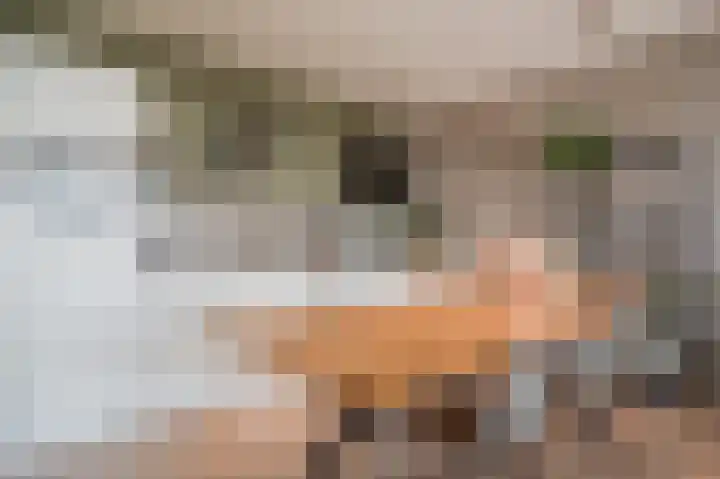 Sterreschans 569 Oegstgeest thumbnail 10