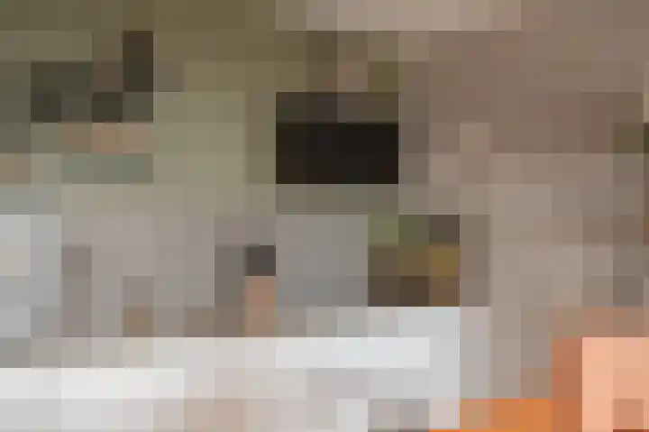 Sterreschans 569 Oegstgeest thumbnail 12