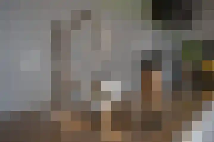 Sterreschans 569 Oegstgeest thumbnail 13
