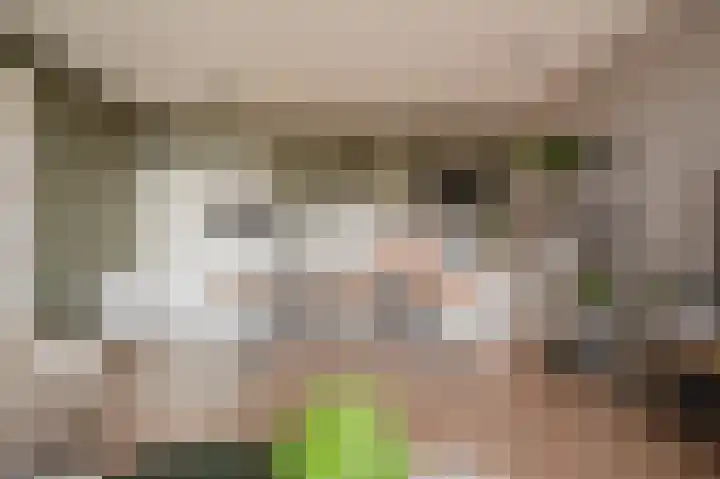 Sterreschans 569 Oegstgeest thumbnail 16