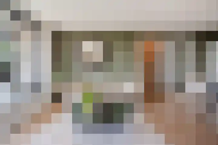 Sterreschans 569 Oegstgeest thumbnail 17