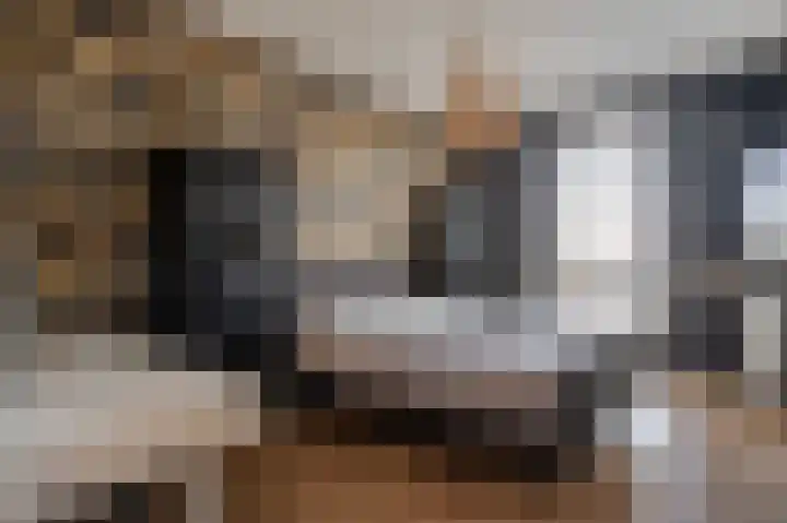 Sterreschans 569 Oegstgeest thumbnail 18