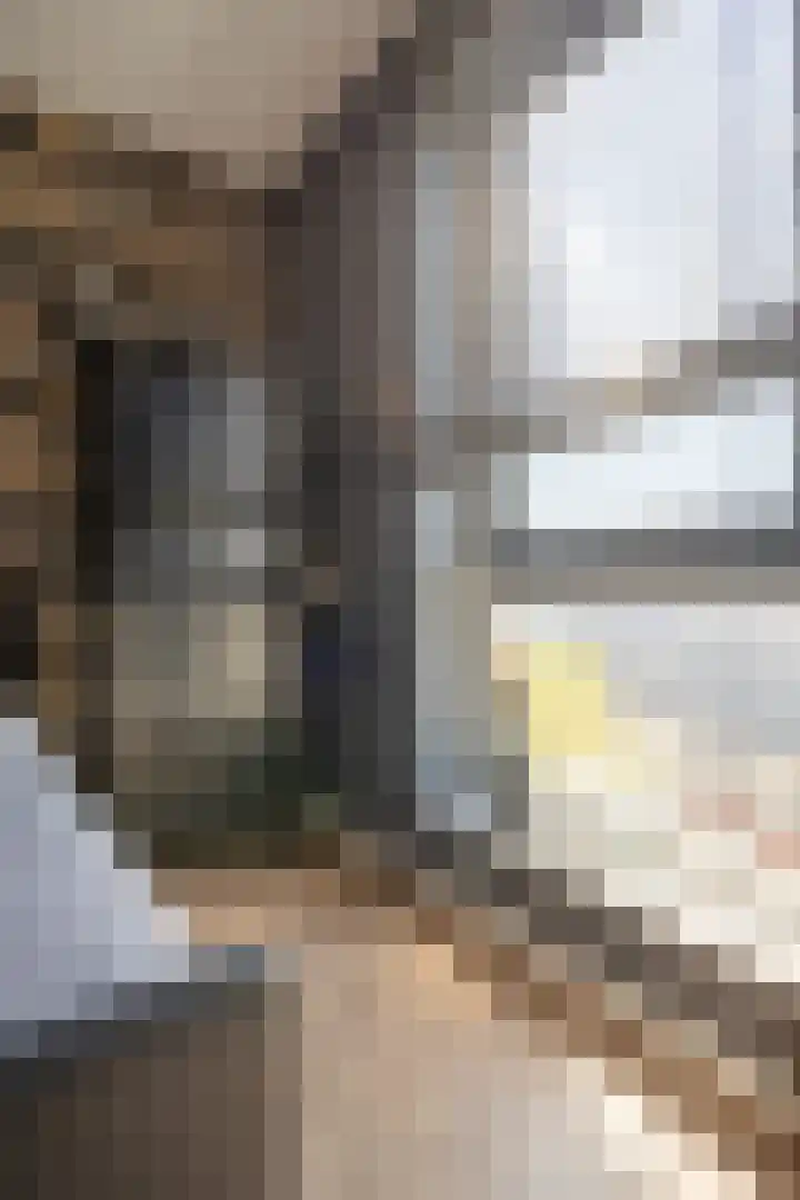 Sterreschans 569 Oegstgeest thumbnail 19
