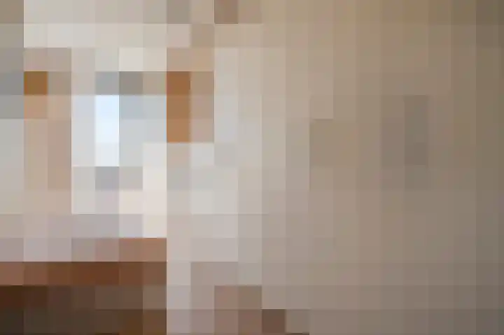 Sterreschans 569 Oegstgeest thumbnail 20