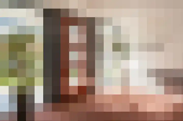 Sterreschans 569 Oegstgeest thumbnail 30