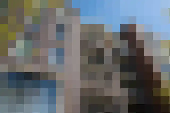 Sterreschans 569 Oegstgeest thumbnail 34