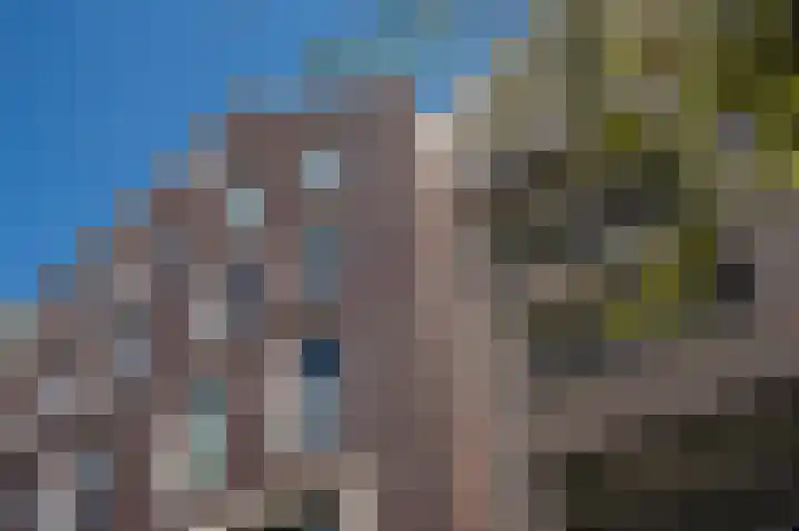 Sterreschans 569 Oegstgeest thumbnail 35