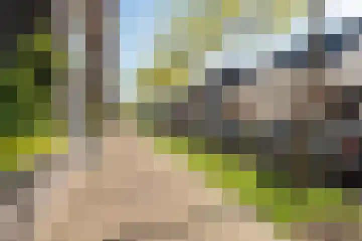 Sterreschans 569 Oegstgeest thumbnail 37