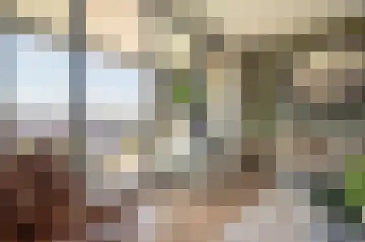 Sterreschans 569 Oegstgeest thumbnail 4