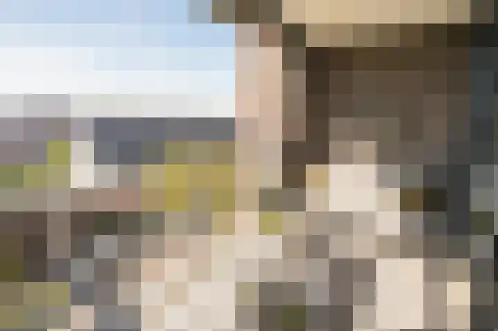 Sterreschans 569 Oegstgeest thumbnail 5