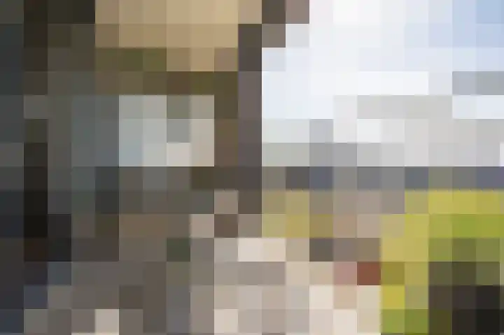 Sterreschans 569 Oegstgeest thumbnail 6
