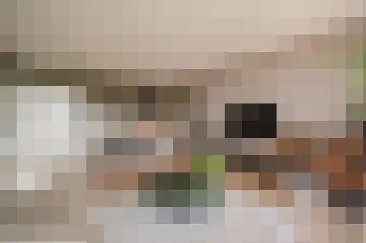 Sterreschans 569 Oegstgeest thumbnail 8
