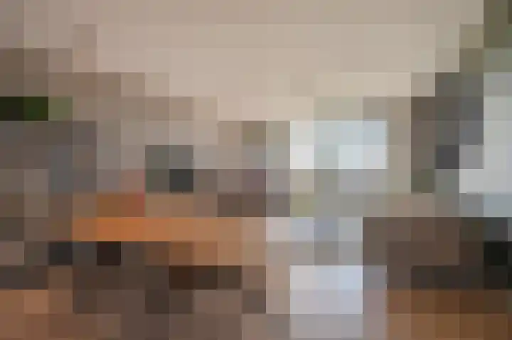 Sterreschans 569 Oegstgeest thumbnail 9