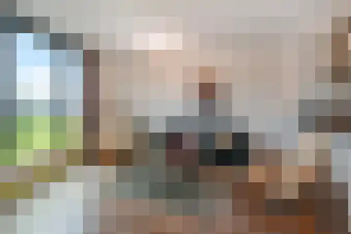 Sterreschans 599 Oegstgeest thumbnail 18