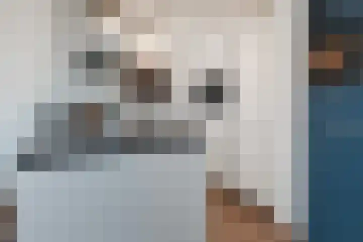 Sterreschans 599 Oegstgeest thumbnail 28