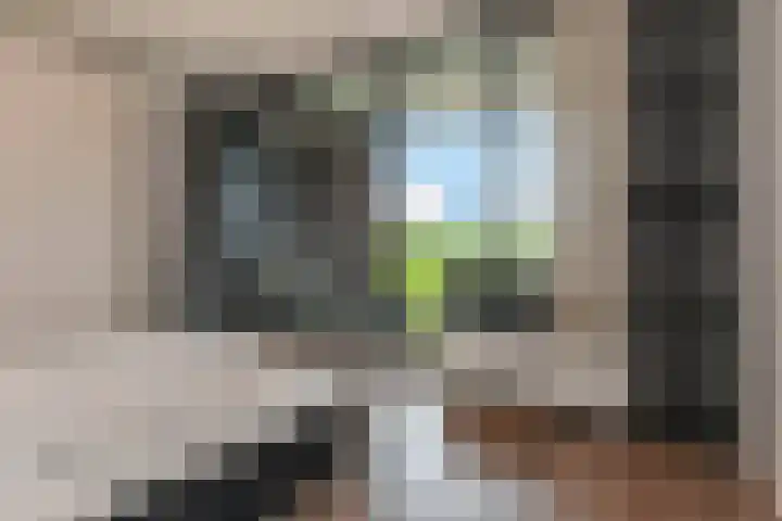 Sterreschans 599 Oegstgeest thumbnail 32
