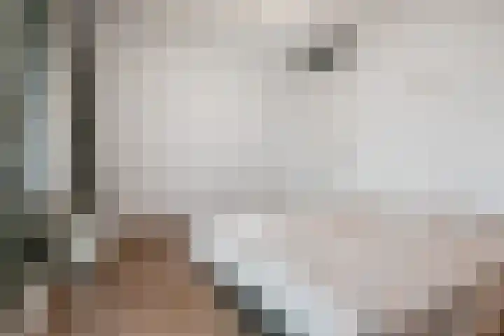 Sterreschans 599 Oegstgeest thumbnail 34