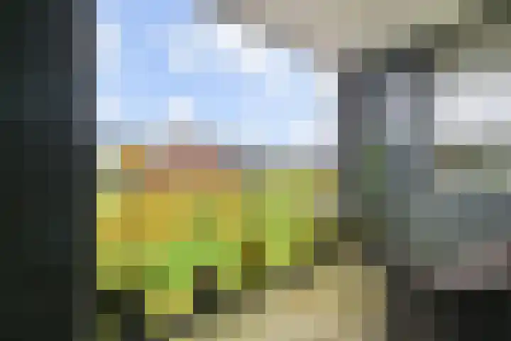 Sterreschans 599 Oegstgeest thumbnail 37