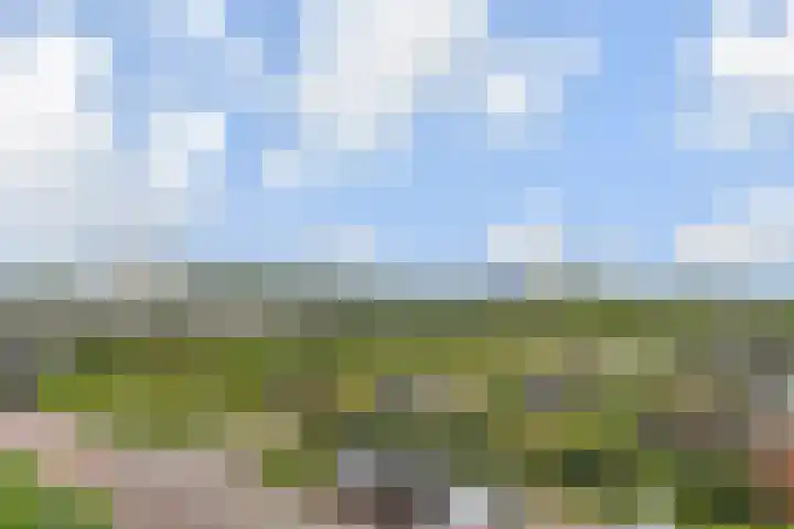 Sterreschans 599 Oegstgeest thumbnail 38