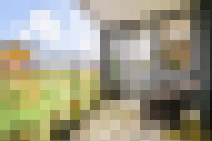 Sterreschans 599 Oegstgeest thumbnail 4