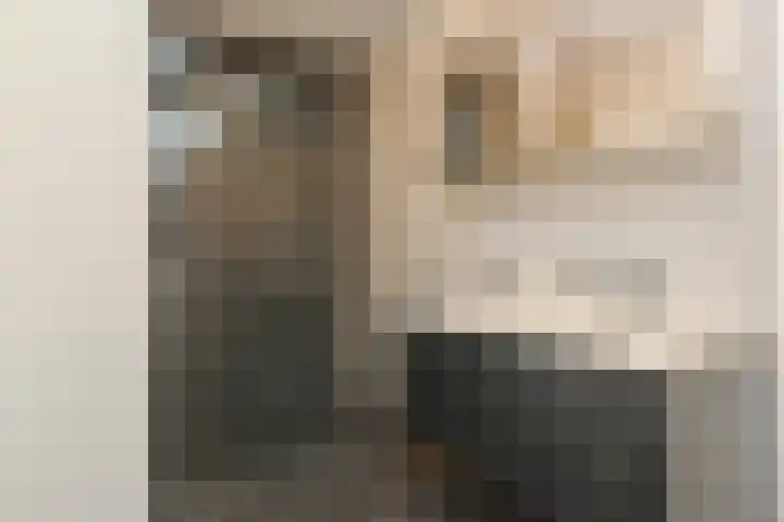 Sterreschans 599 Oegstgeest thumbnail 5