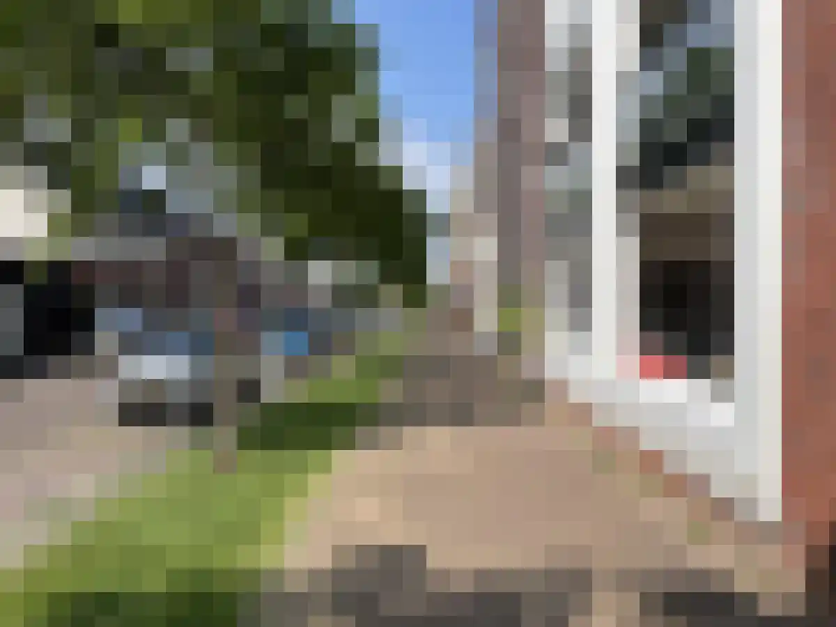 Sterreschans 603 Oegstgeest thumbnail 4