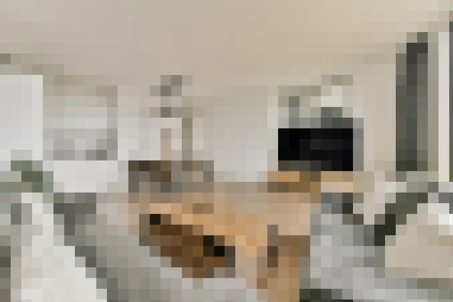 Sterreschans 615 Oegstgeest thumbnail 4