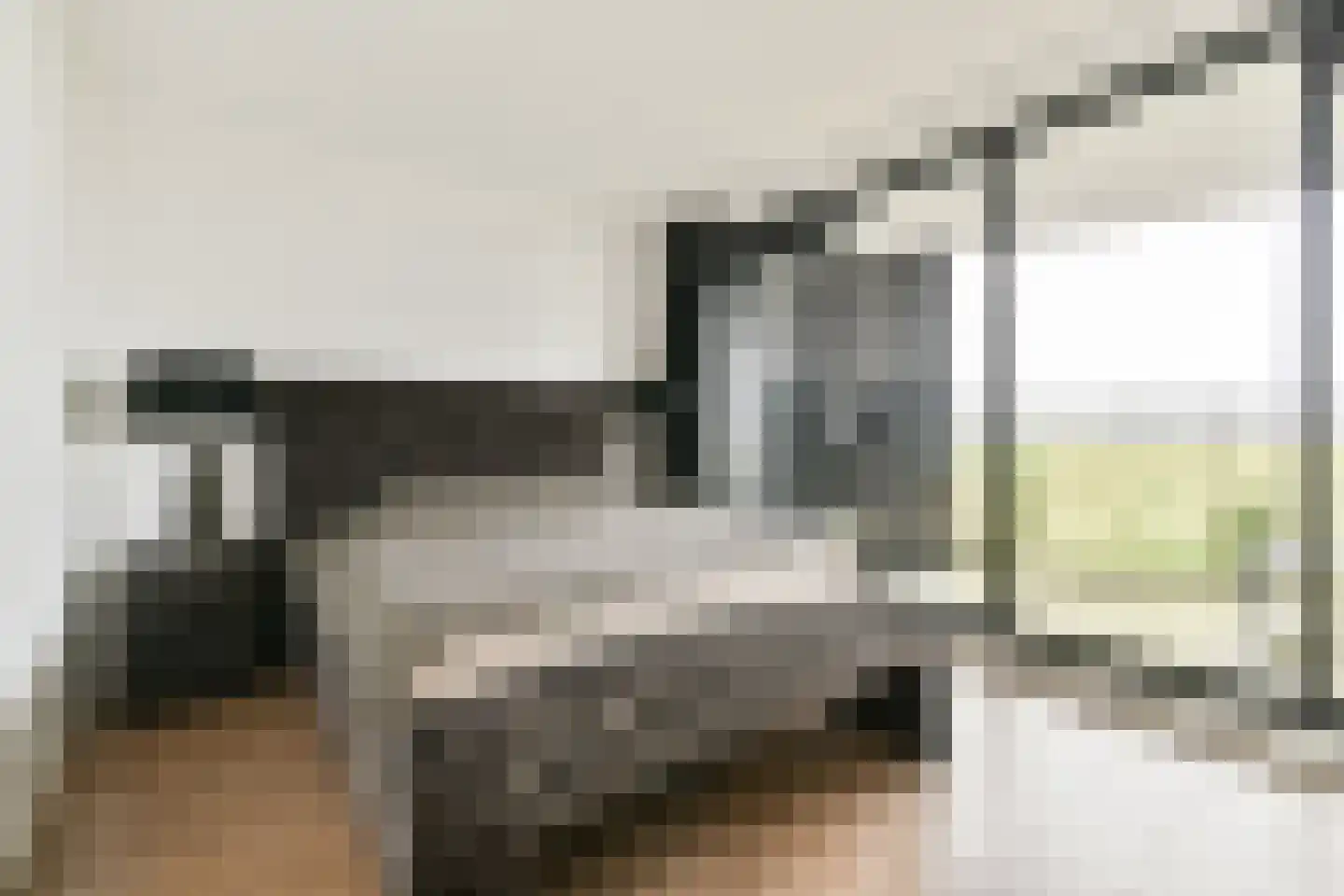 Sterreschans 615 Oegstgeest thumbnail 7
