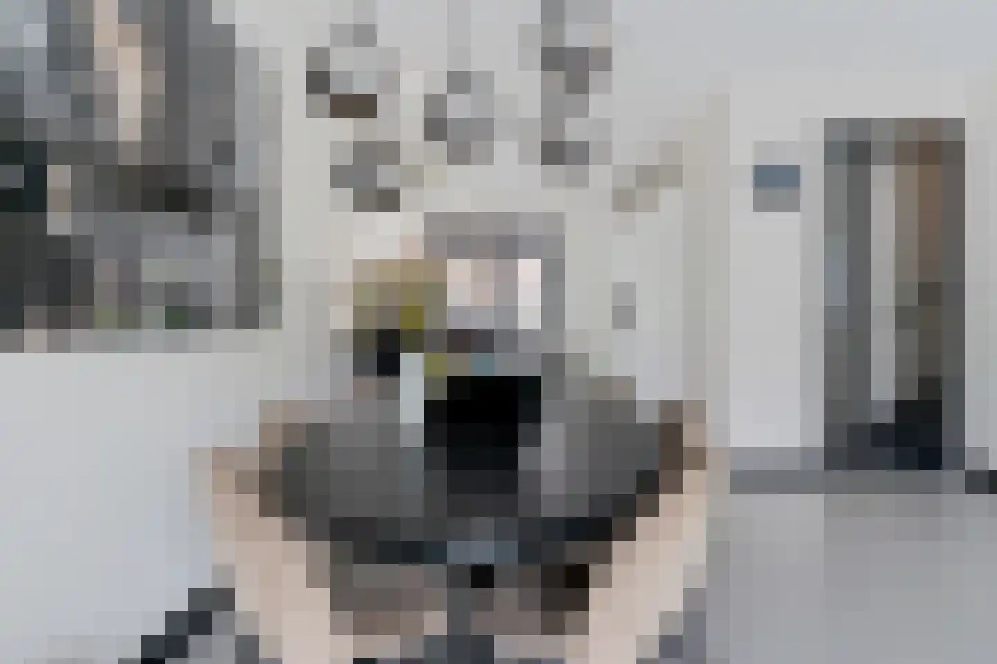 Sterreschans 645 Oegstgeest thumbnail 11