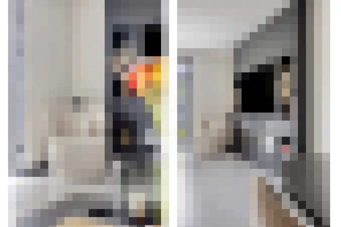 Sterreschans 645 Oegstgeest thumbnail 12
