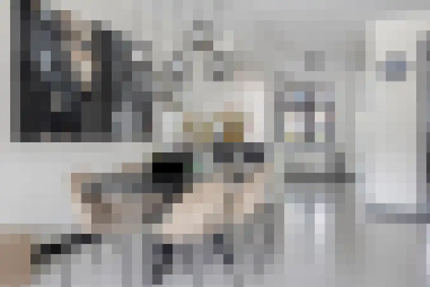 Sterreschans 645 Oegstgeest thumbnail 14