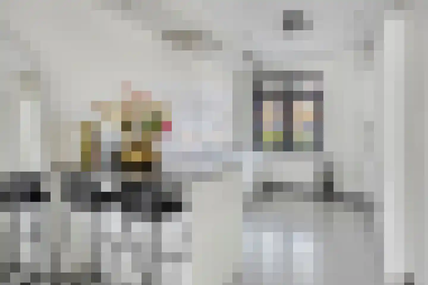 Sterreschans 645 Oegstgeest thumbnail 15