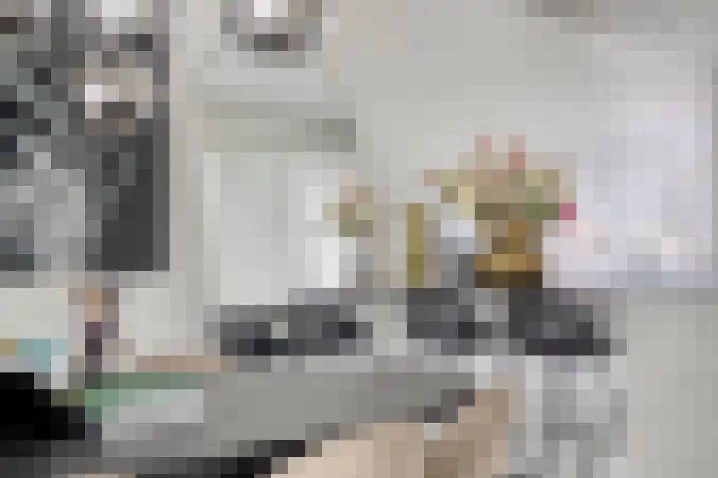 Sterreschans 645 Oegstgeest thumbnail 16