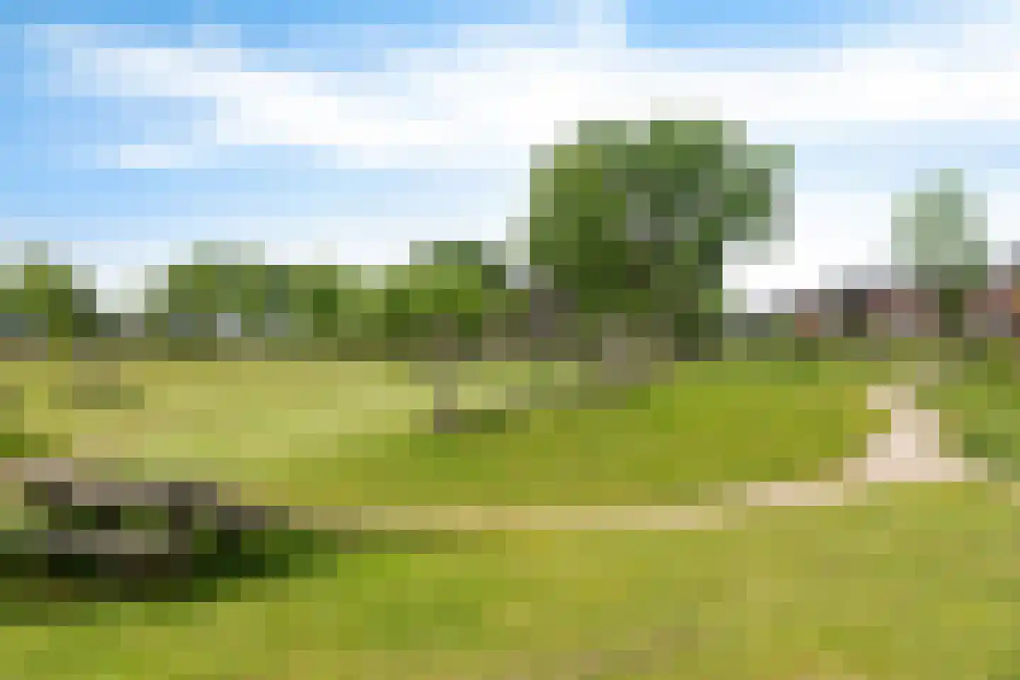 Sterreschans 645 Oegstgeest thumbnail 39