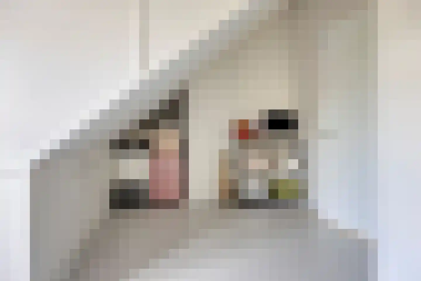 Sterreschans 645 Oegstgeest thumbnail 49