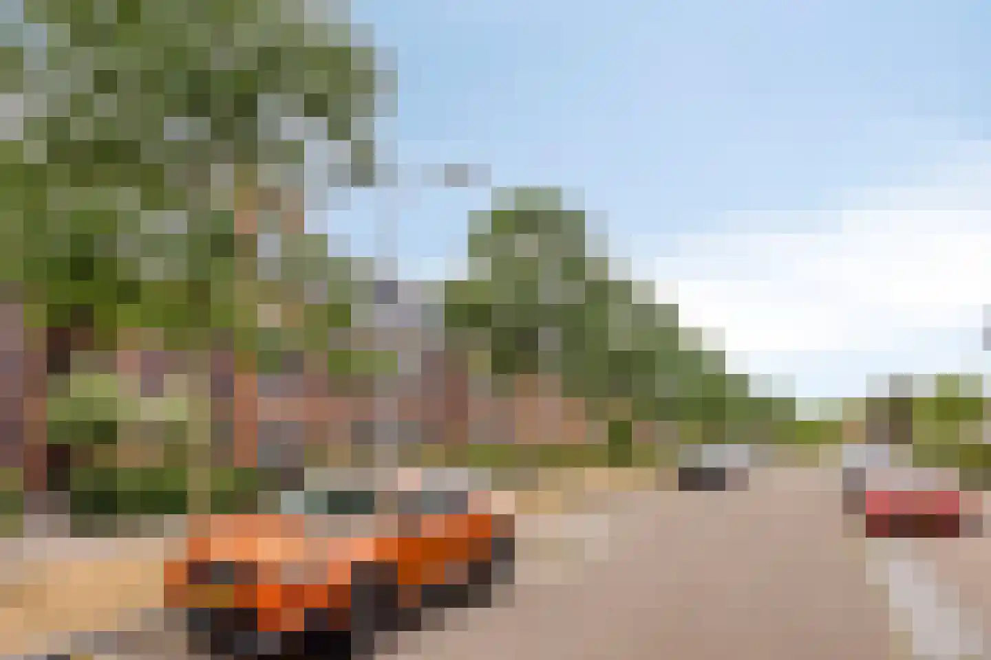 Sterreschans 645 Oegstgeest thumbnail 51