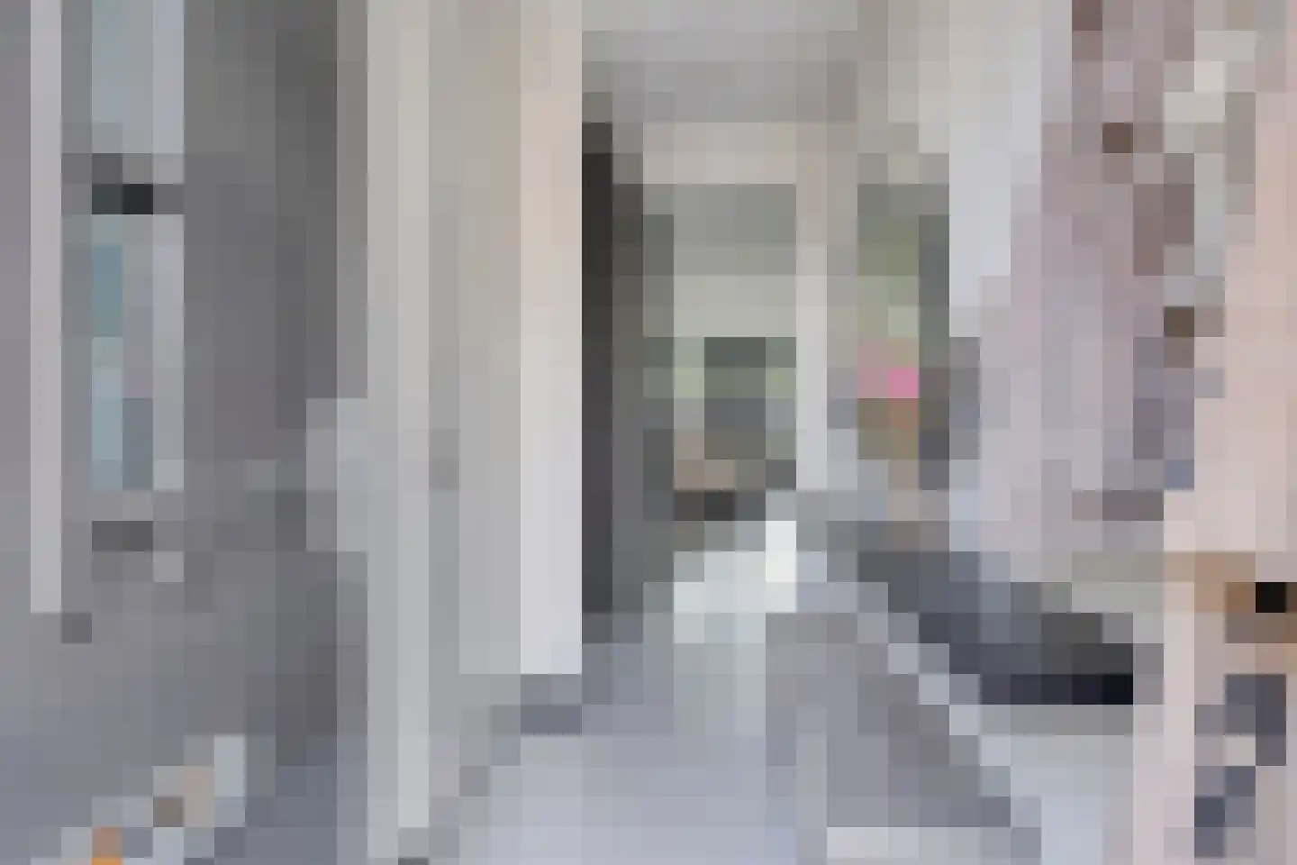 Sterreschans 645 Oegstgeest thumbnail 6