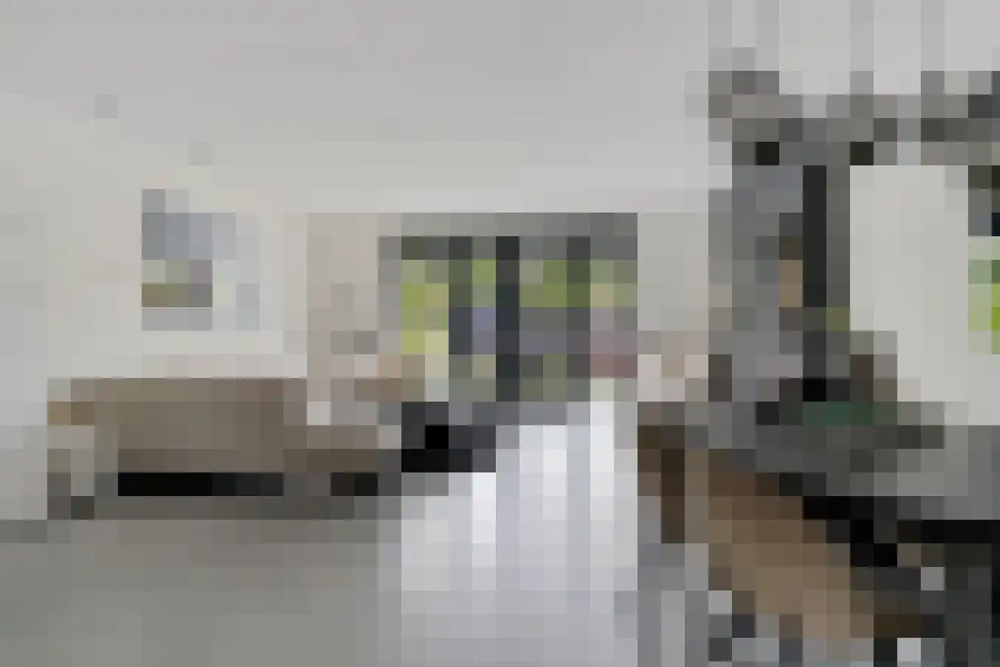 Sterreschans 645 Oegstgeest thumbnail 7