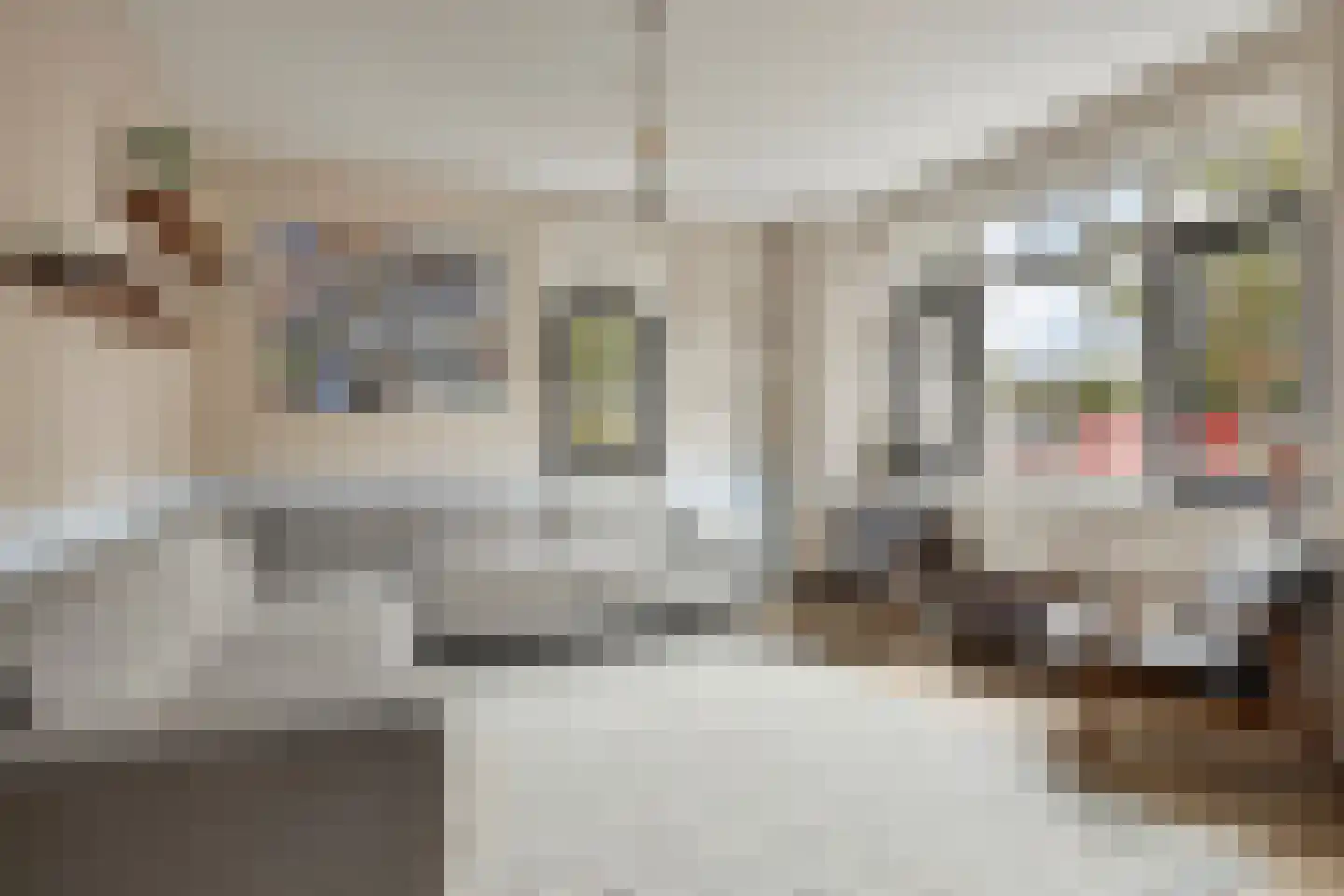 Sterreschans 98 Oegstgeest thumbnail 13
